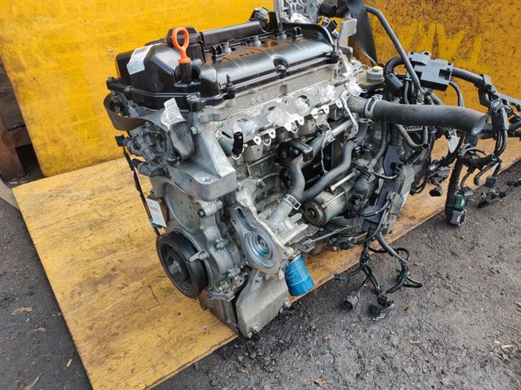 Двигатель Хонда Джаде в Тобольске 43547