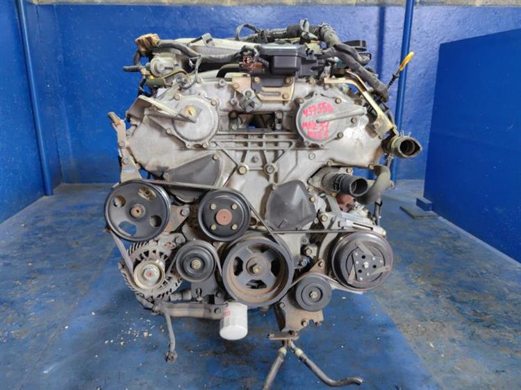 Двигатель Ниссан Эльгранд в Тобольске 437558