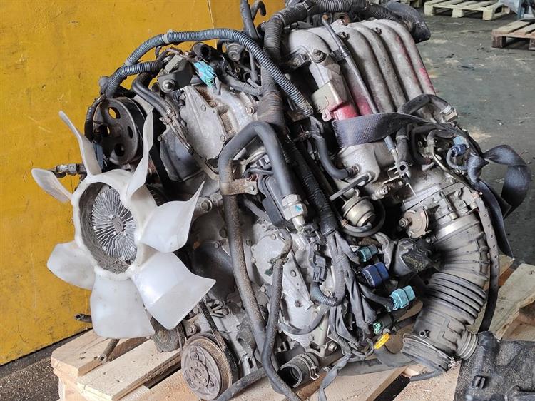 Двигатель Ниссан Эльгранд в Тобольске 51254