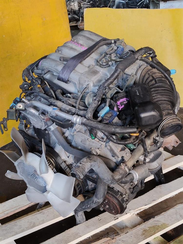 Двигатель Ниссан Эльгранд в Тобольске 51266